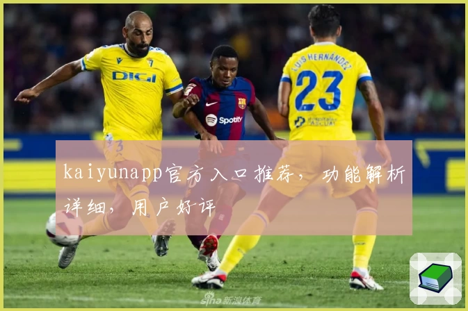 kaiyunapp官方入口推荐，功能解析详细，用户好评
