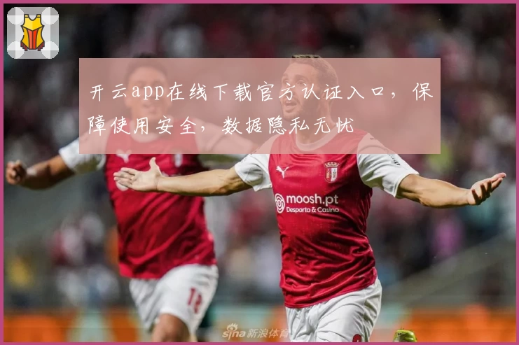 开云app在线下载官方认证入口，保障使用安全，数据隐私无忧
